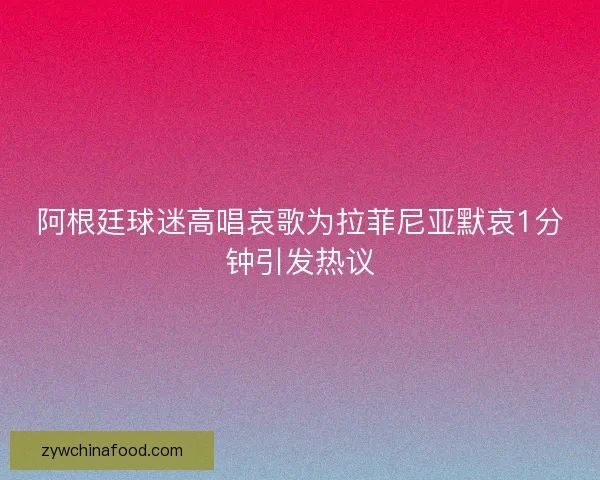 阿根廷球迷高唱哀歌为拉菲尼亚默哀1分钟引发热议