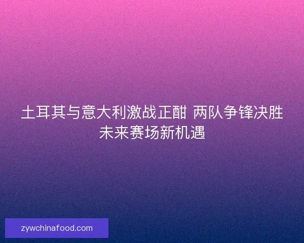 土耳其与意大利激战正酣 两队争锋决胜未来赛场新机遇