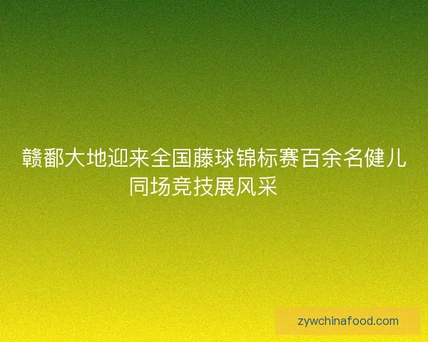赣鄱大地迎来全国藤球锦标赛百余名健儿同场竞技展风采🏆