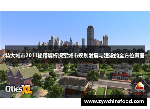 特大城市2011秘籍解析探索城市规划发展与建设的全方位策略